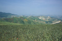 Il panorama che si pu� godere dal Cardello