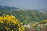 Il panorama che si pu� godere dal Cardello (2)