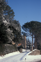 Il Cardello in versione invernale